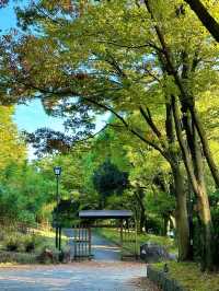 猿江恩賜公園：東京悠閒綠洲的現代樂章