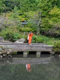 【福井県/勝山市】幻想的な世界が広がる☁️