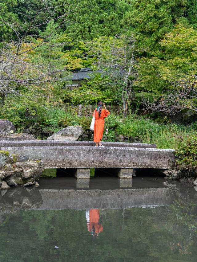 【福井県/勝山市】幻想的な世界が広がる☁️