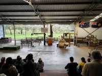 Caversham Wildlife Park