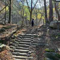 Seoraksan Awaits: Discover Korea's Majestic Mountain Paradise!