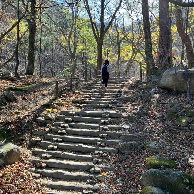 Seoraksan Awaits: Discover Korea's Majestic Mountain Paradise!