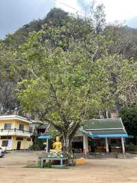 The Reverent Golden Buddha Beneath the Sacred Tree