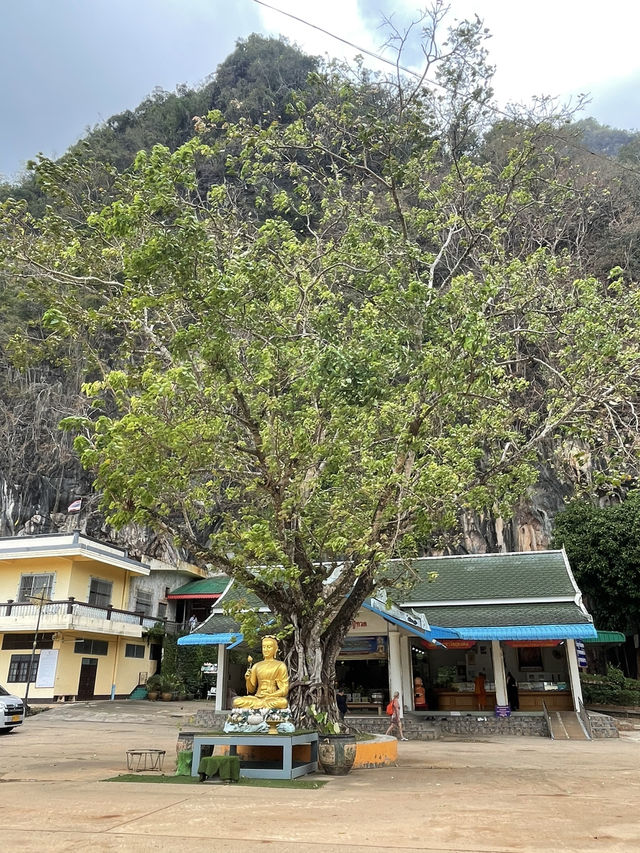 The Reverent Golden Buddha Beneath the Sacred Tree