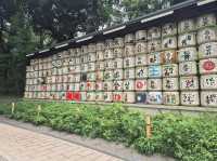 A Serene Escape and Beauty of Yoyogi Park**