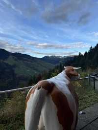 瑞士🇨🇭絕佳觀景台俯瞰Interlaken 兩大湖🩵日落美景