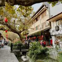 Dujiangyan one day trip 