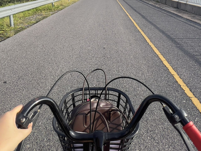 ปั่นจักรยานชิลๆที่เขายายเที่ยง 🚲
