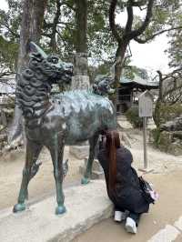 Dazaifu Tenmangu Shrine | Fukuoka | Japan 🇯🇵