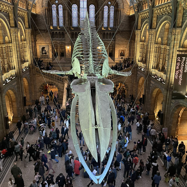 【ロンドン】子どもも大人も夢中になるスポット！🇬🇧🦖