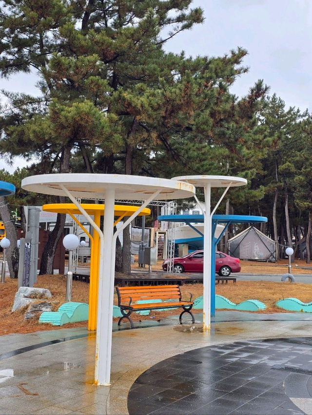넓은 해변과 오토캠핑장이 있는 해수욕장💙