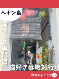【ペナン島女子旅】猫好きは行かなきゃ損！お土産にも良い大人気の猫グッズ専門店！