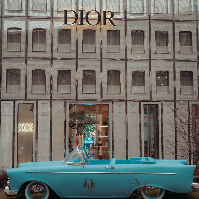 ☾︎韓国☽︎ 聖水にある可愛すぎるDior