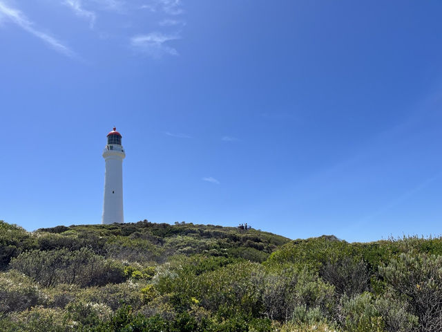 🇦🇺 澳洲墨爾本寶石海燈塔💎