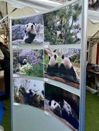 上野熊貓春日祭與牛舌美食之旅🐼🐄