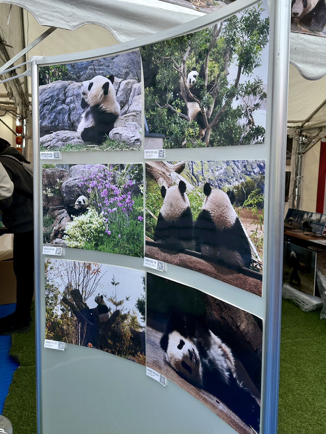 上野熊貓春日祭與牛舌美食之旅🐼🐄