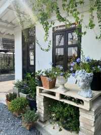 ร้านคาเฟ่ Botanicahouse