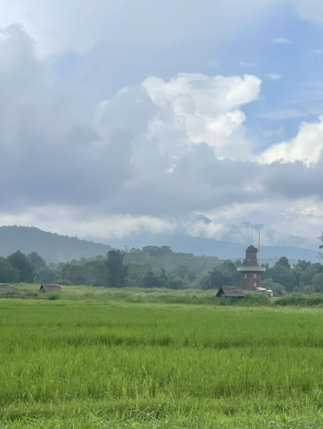 อ่างเก็บน้ำห้วยตึงเฒ่า: สถานที่พักผ่อนสุดชิล