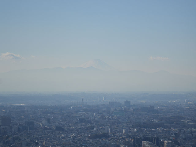 從晴空塔俯瞰絕美東京，東京最出片的地方！🇯🇵🗾