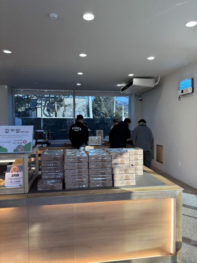 춘천에 가면 꼭 먹어야하는 감자빵 베이커리😇