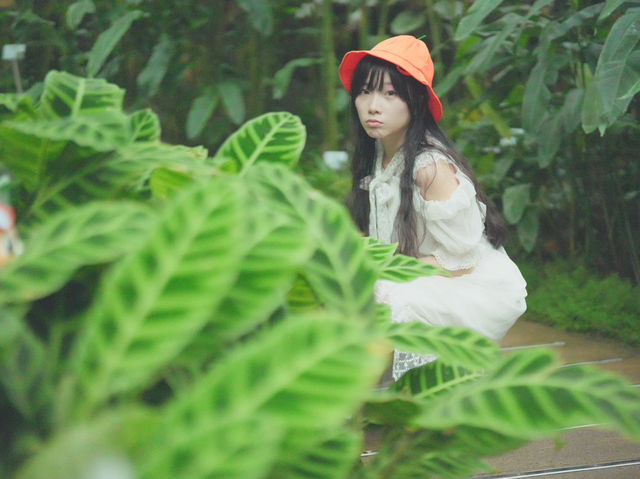 🌿🌞 探索霍士傑溫室的奇妙世界！