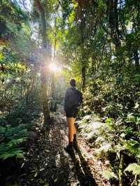 Nature’s Paradise: Hiking Lamington National Park