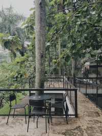 ANTHOLOGY COFFEE & TEA