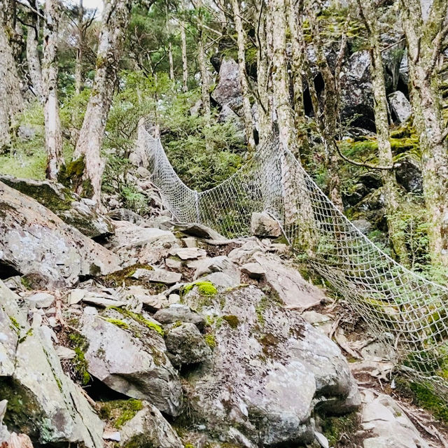 塔關山登山記-南橫三星的最美步道