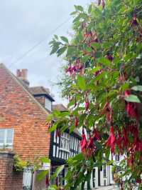 Stepping Back in Time – My Journey Through the Ancient Charm of Rye, England