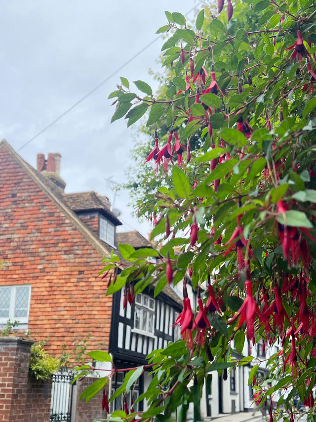 Stepping Back in Time – My Journey Through the Ancient Charm of Rye, England