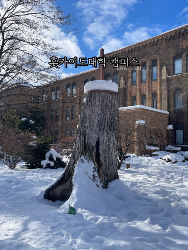 눈 오는 삿포로에서의 여행지를 추천합니다!