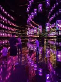 Museum of the Future: A Glimpse into Tomorrow in the Heart of Dubai