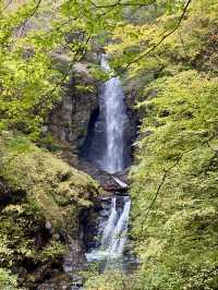 【山梨県】浄化のパワースポット！板敷渓谷
