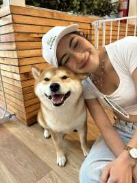 Dog In Town Café (ด็อกอินทาวน์ คาเฟ่) 