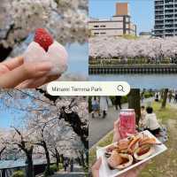 แจกแพลนดูซากุระที่โอซาก้า เกียวโต 🌸🍡🇯🇵