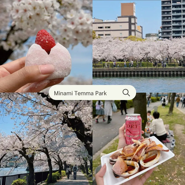 แจกแพลนดูซากุระที่โอซาก้า เกียวโต 🌸🍡🇯🇵