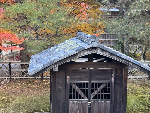 Điểm đến lý tưởng vào mùa thu tại Kyoto