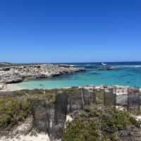 ロットネスアイランド🏝️🇦🇺