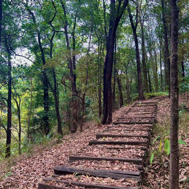 雲溪生態公園•好山好水