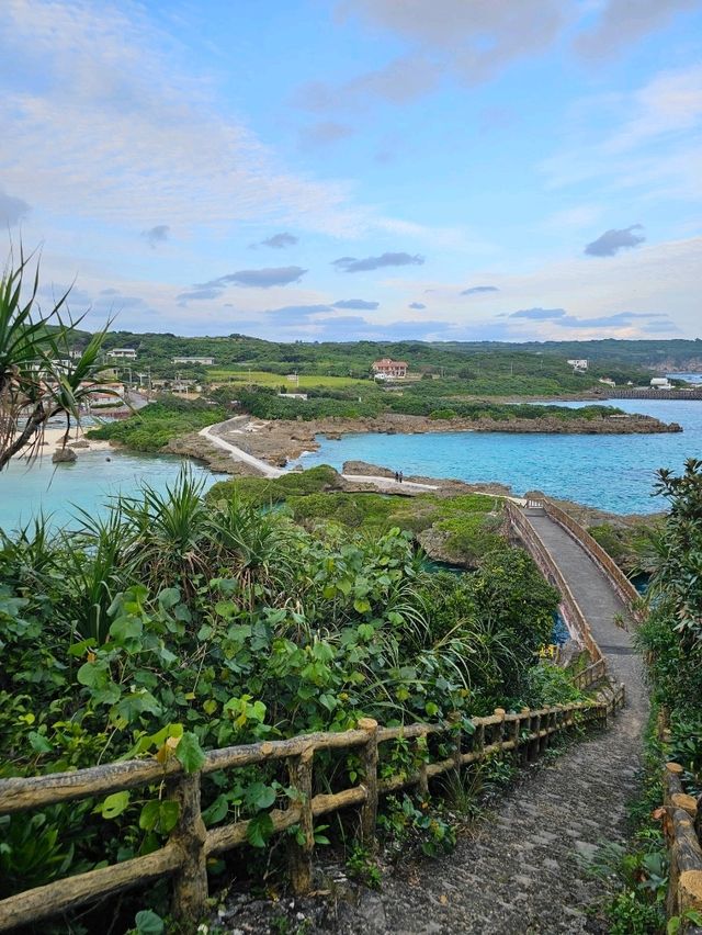 日本庭園を彷彿とさせる独特な世界観