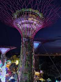Singapore: Discovering the Best of the Lion City