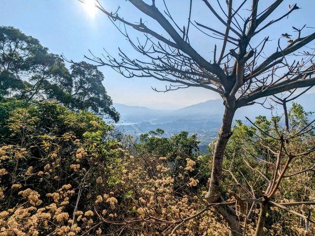 鈺鼎步道，從山頂涼亭眺望山林雲海和南化水庫