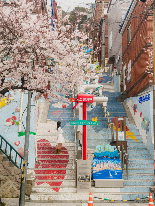 동화같은 부산 벚꽃 마을💞