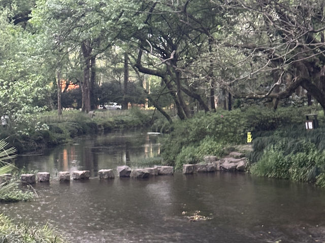 5A觀景真的絕美👍🏻👍🏻👍🏻 5A觀景真的絕美👍🏻👍🏻👍🏻