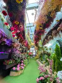 Disney Garden at Wonder’s of Floral Fantasy