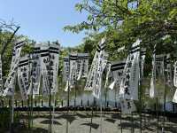 Explore the Serenity of Tsurugaoka Hachimangu in Kamakura