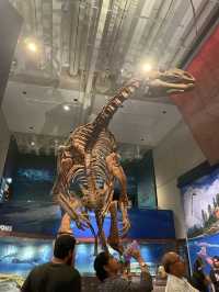 🇦🇺｜知的好奇心をくすぐる、Queensland Museumの旅