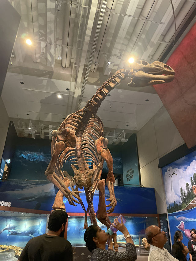 🇦🇺｜知的好奇心をくすぐる、Queensland Museumの旅