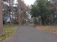 Kinuta Park (砧公園)