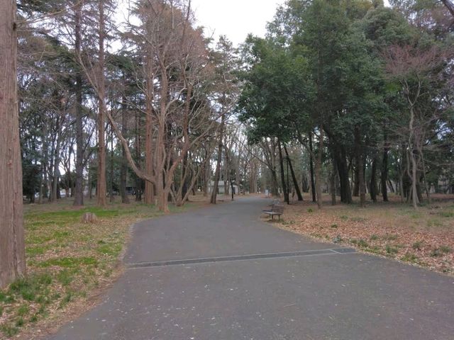 Kinuta Park (砧公園)  Kinuta Park (砧公園)